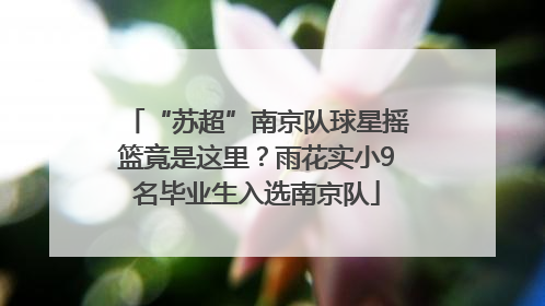 “苏超”南京队球星摇篮竟是这里？雨花实小9名毕业生入选南京队