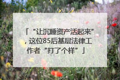 “让沉睡资产活起来”，这位85后基层法律工作者“打了个样”