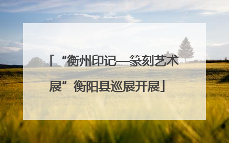 “衡州印记—篆刻艺术展”衡阳县巡展开展