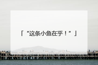 “这条小鱼在乎！”