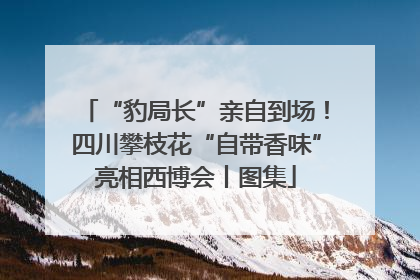 “豹局长”亲自到场！四川攀枝花“自带香味”亮相西博会丨图集