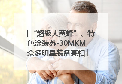 “超级大黄蜂”、特色涂装苏-30MKM 众多明星装备亮相