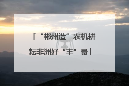 “郴州造”农机耕耘非洲好“丰”景
