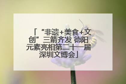 “非遗+美食+文创”三箭齐发 德阳元素亮相第二十一届深圳文博会