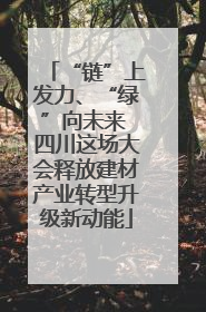 “链”上发力、“绿”向未来 四川这场大会释放建材产业转型升级新动能