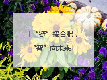 “链”接合肥，“智”向未来