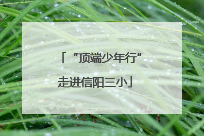 “顶端少年行”走进信阳三小