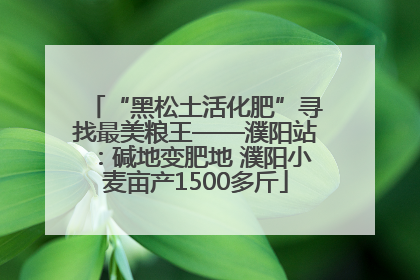 “黑松土活化肥”寻找最美粮王——濮阳站：碱地变肥地 濮阳小麦亩产1500多斤