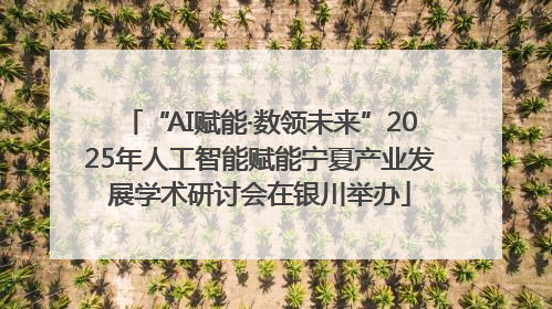 “AI赋能·数领未来”2025年人工智能赋能宁夏产业发展学术研讨会在银川举办