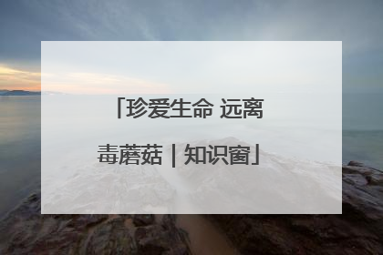珍爱生命 远离毒蘑菇｜知识窗