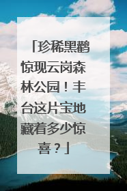 珍稀黑鹳惊现云岗森林公园！丰台这片宝地藏着多少惊喜？