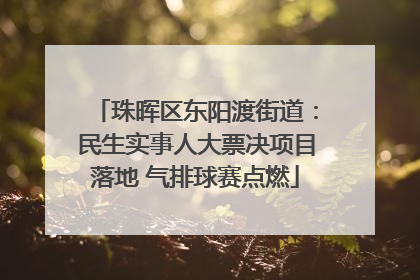 珠晖区东阳渡街道：民生实事人大票决项目落地 气排球赛点燃