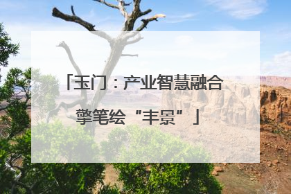 玉门：产业智慧融合 擎笔绘“丰景”