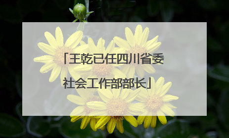 王乾已任四川省委社会工作部部长