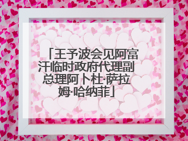 王予波会见阿富汗临时政府代理副总理阿卜杜·萨拉姆·哈纳菲