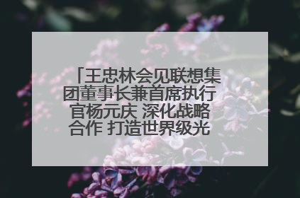 王忠林会见联想集团董事长兼首席执行官杨元庆 深化战略合作 打造世界级光电子信息产业集群