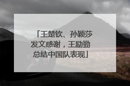 王楚钦、孙颖莎发文感谢，王励勤总结中国队表现