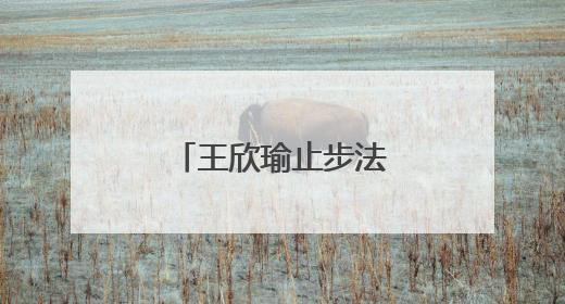 王欣瑜止步法网女单首轮