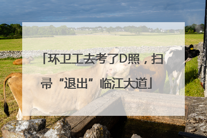 环卫工去考了D照，扫帚“退出”临江大道