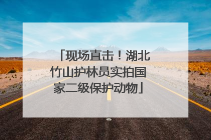 现场直击！湖北竹山护林员实拍国家二级保护动物