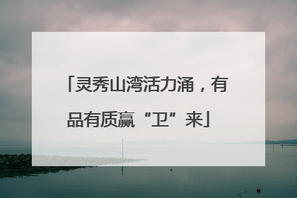 灵秀山湾活力涌，有品有质赢“卫”来