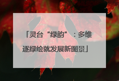 灵台“绿韵”：多维逐绿绘就发展新图景