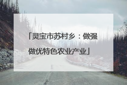 灵宝市苏村乡：做强做优特色农业产业