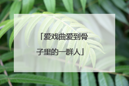 爱戏曲爱到骨子里的一群人