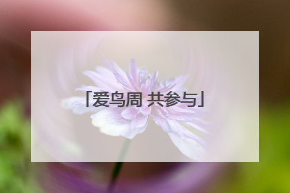 爱鸟周 共参与