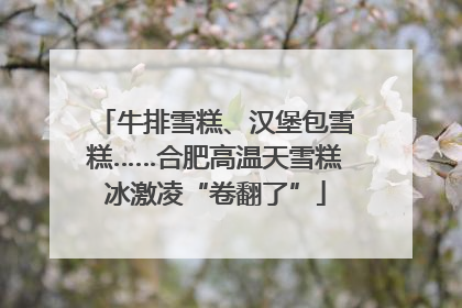 牛排雪糕、汉堡包雪糕……合肥高温天雪糕冰激凌“卷翻了”