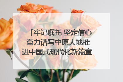 牢记嘱托 坚定信心 奋力谱写中原大地推进中国式现代化新篇章（六）河南绘就“行走河南·读懂中国”新画卷丨牢记嘱托谱新篇