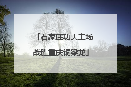 石家庄功夫主场战胜重庆铜梁龙