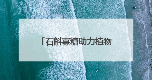 石斛寡糖助力植物医生防晒新品，展现中国成分的力量