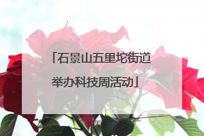 石景山五里坨街道举办科技周活动