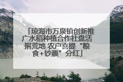 琼海市万泉镇创新推广水稻种植合作社盘活撂荒地 农户喜提“粮食+钞票”分红
