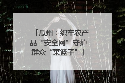 瓜州：织牢农产品“安全网”守护群众“菜篮子”