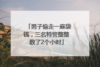 男子偷走一麻袋钱，三名特警整整数了2个小时