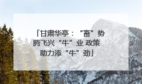 甘肃华亭：“畜”势腾飞兴“牛”业 政策助力添“牛”劲