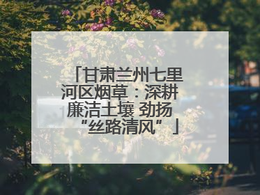 甘肃兰州七里河区烟草：深耕廉洁土壤 劲扬“丝路清风”