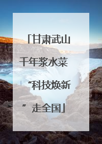 甘肃武山千年浆水菜“科技焕新”走全国