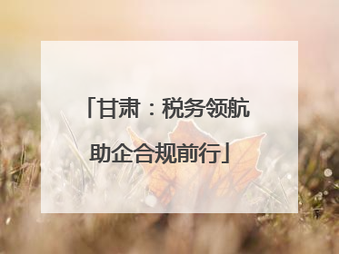 甘肃：税务领航 助企合规前行