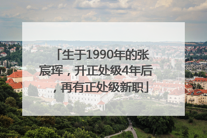 生于1990年的张宸珲，升正处级4年后，再有正处级新职