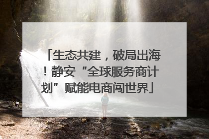 生态共建，破局出海！静安“全球服务商计划”赋能电商闯世界
