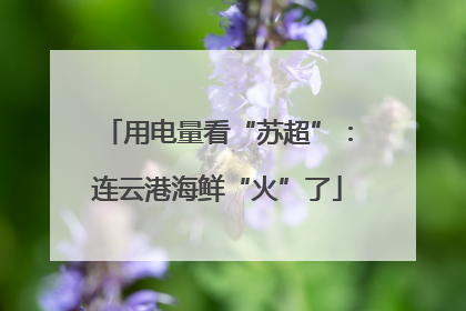 用电量看“苏超”：连云港海鲜“火”了