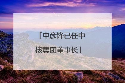 申彦锋已任中核集团董事长