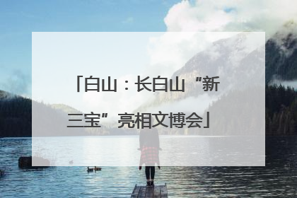 白山：长白山“新三宝”亮相文博会