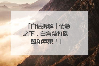 白话拆解丨情急之下，白宫敲打欧盟和苹果！