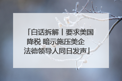 白话拆解丨要求美国降税 暗示施压美企 法德领导人同日发声