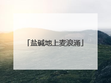 盐碱地上麦浪涌