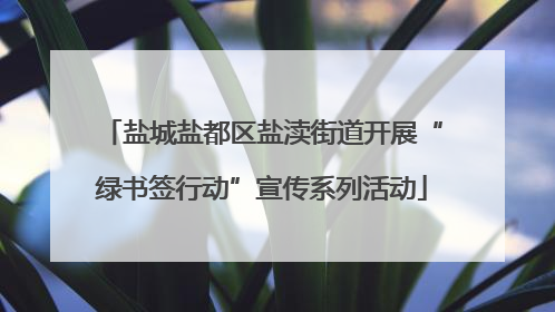 盐城盐都区盐渎街道开展“绿书签行动”宣传系列活动
